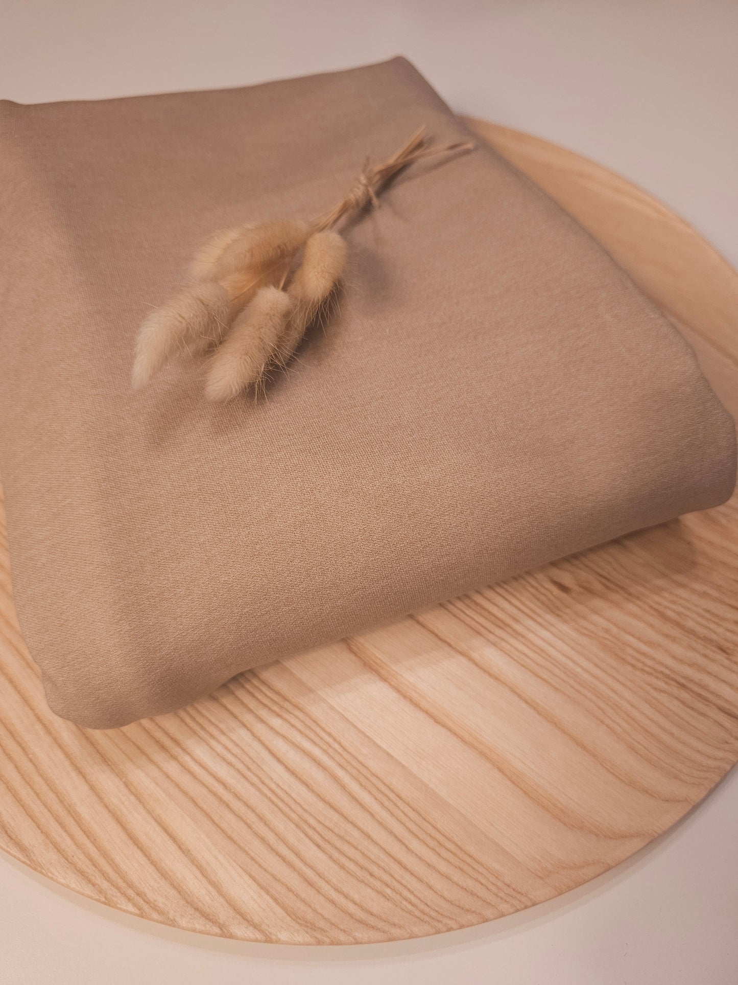 Reststück Bio Denim French Terry Hellbeige MHP 150cm