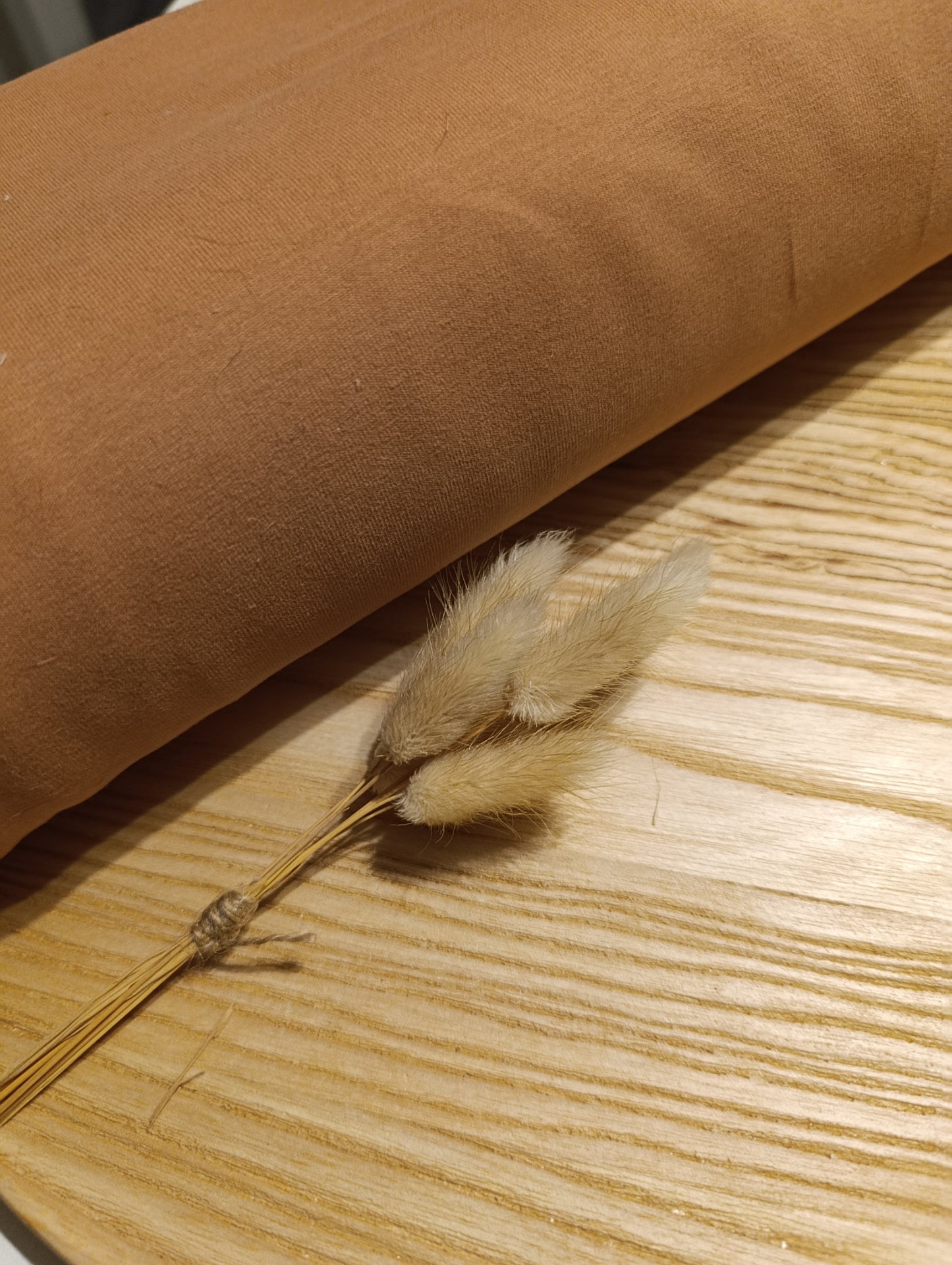 Bio Jersey Uni Peach