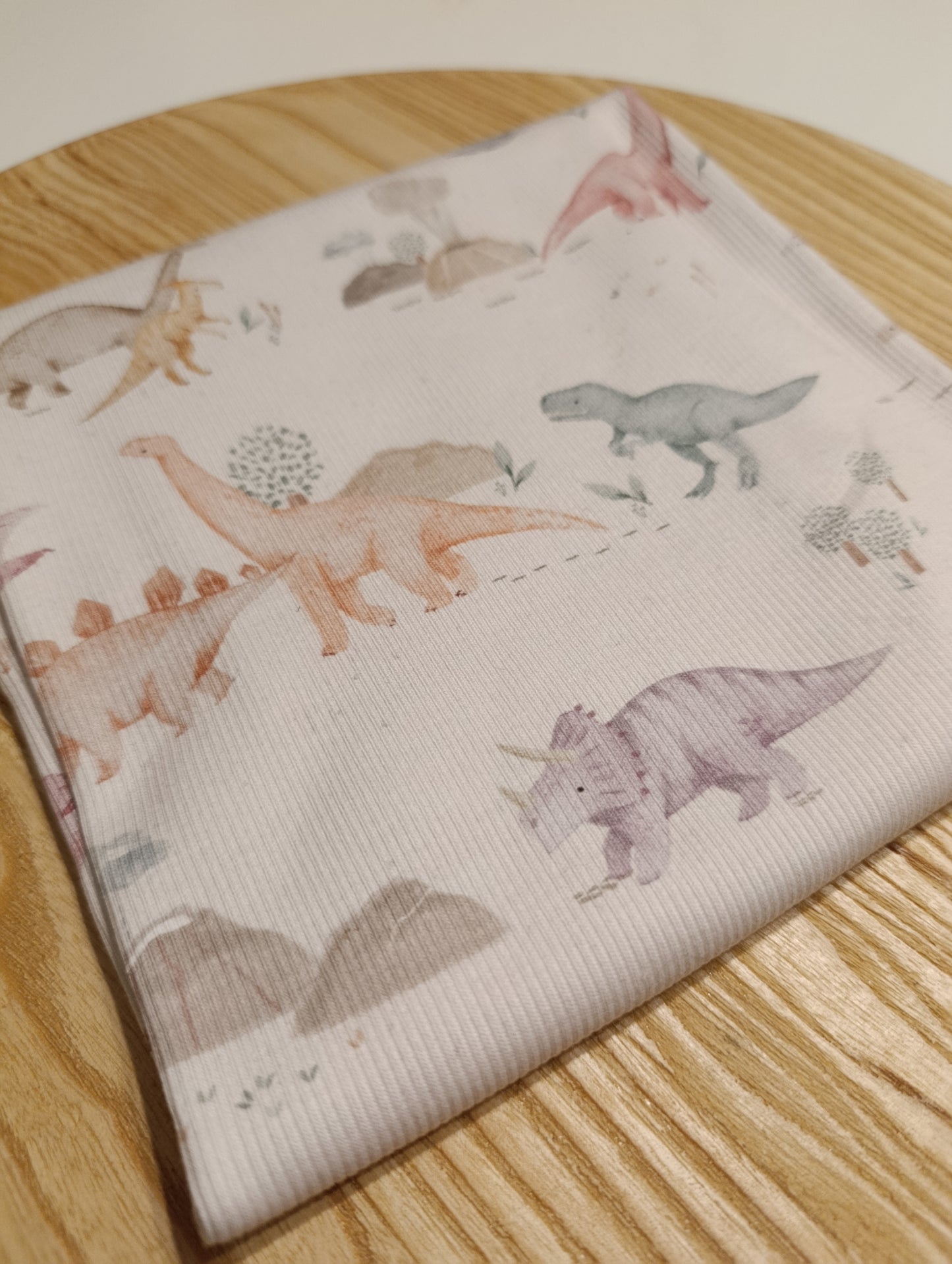 Reststück Rib Dino 55cm