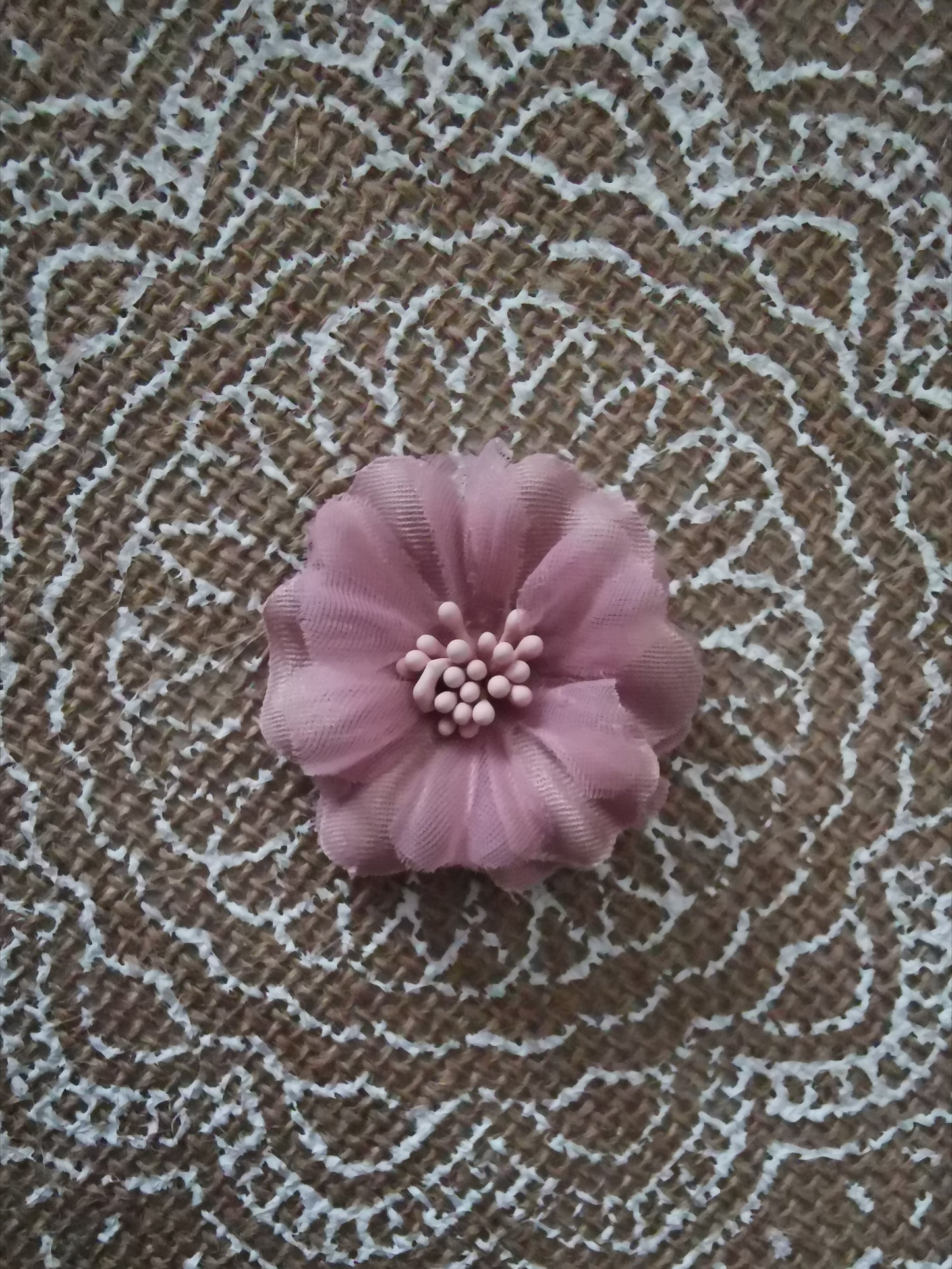 Fleur avec des pistils de différentes couleurs