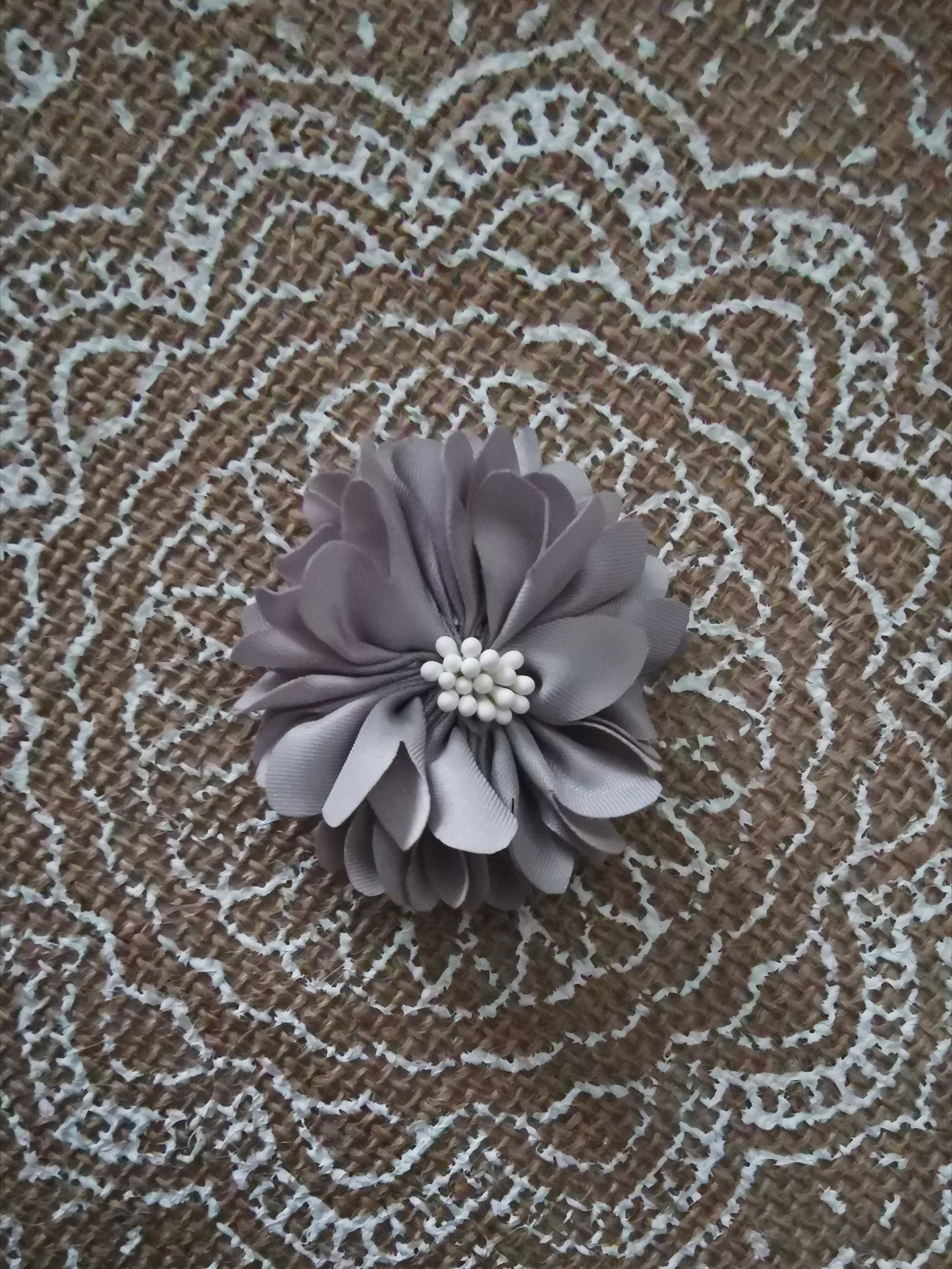Fleur avec des pistils de différentes couleurs