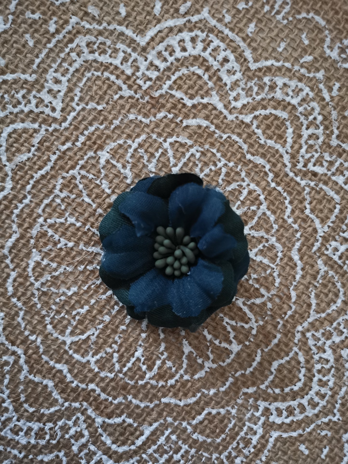 Fleur avec des pistils de différentes couleurs