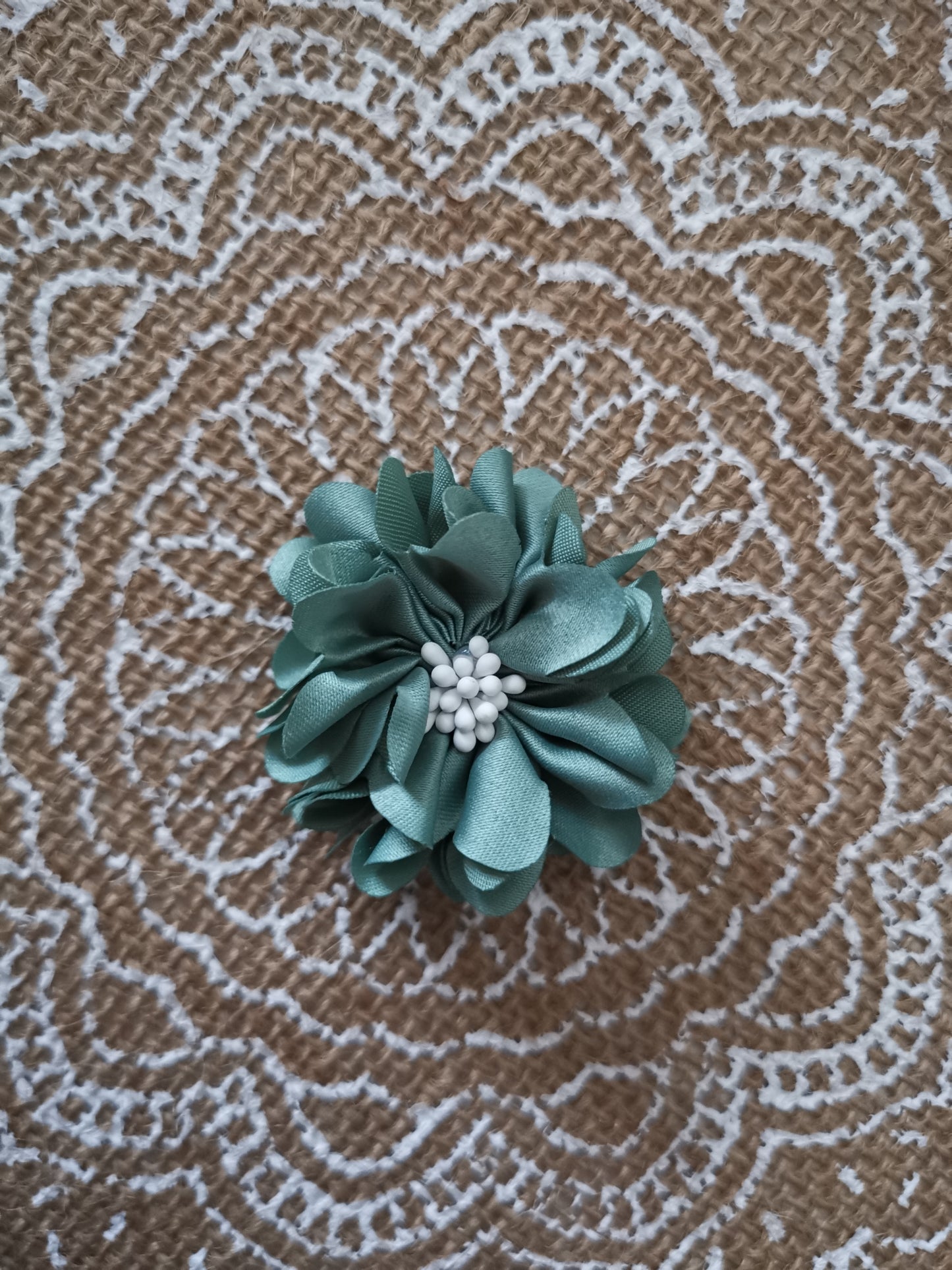 Fleur avec des pistils de différentes couleurs