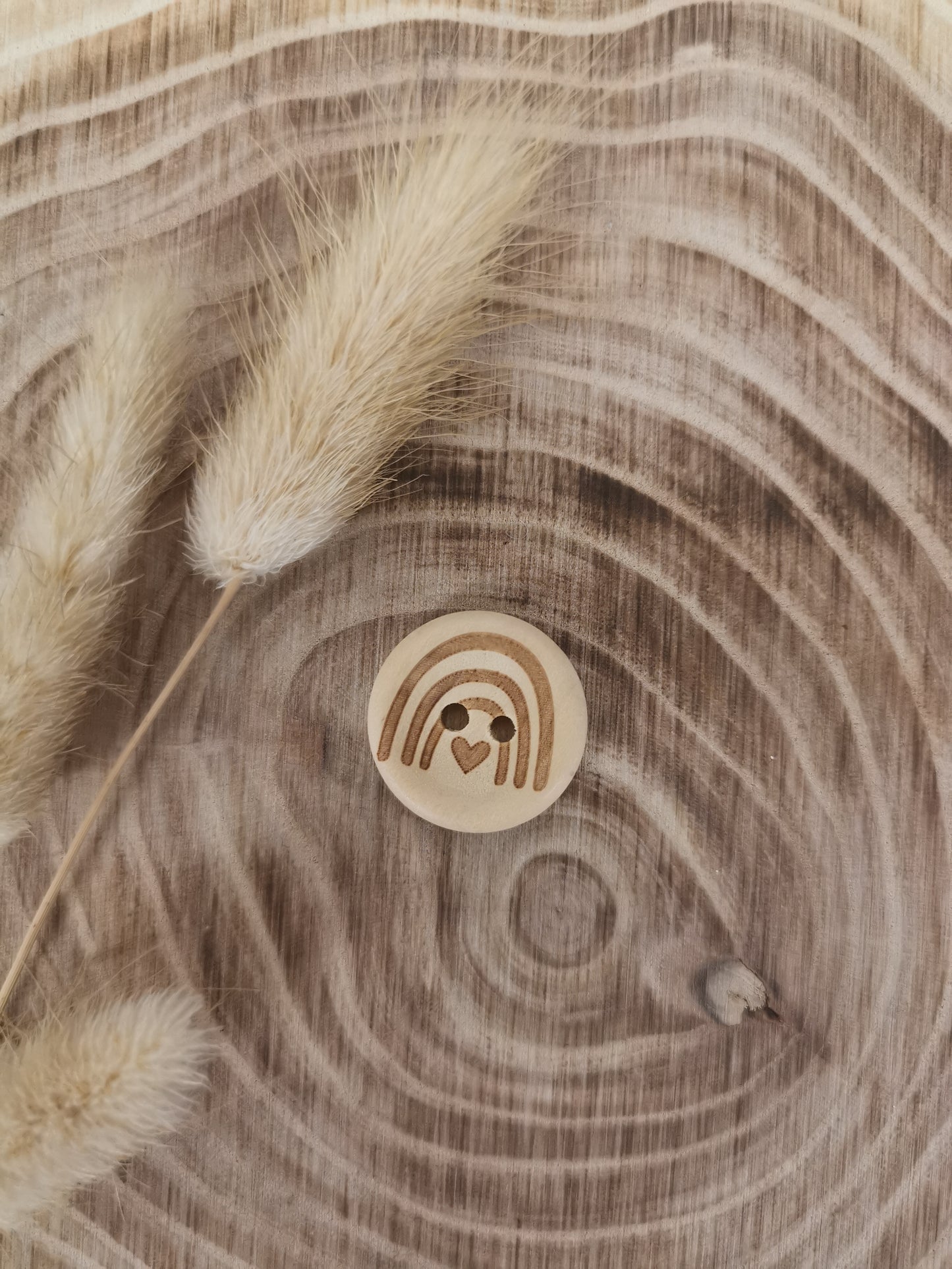Holz Knöpfe Rainbow hell