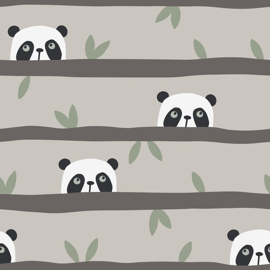 Vorbestellung Jersey/Ribjersey Panda