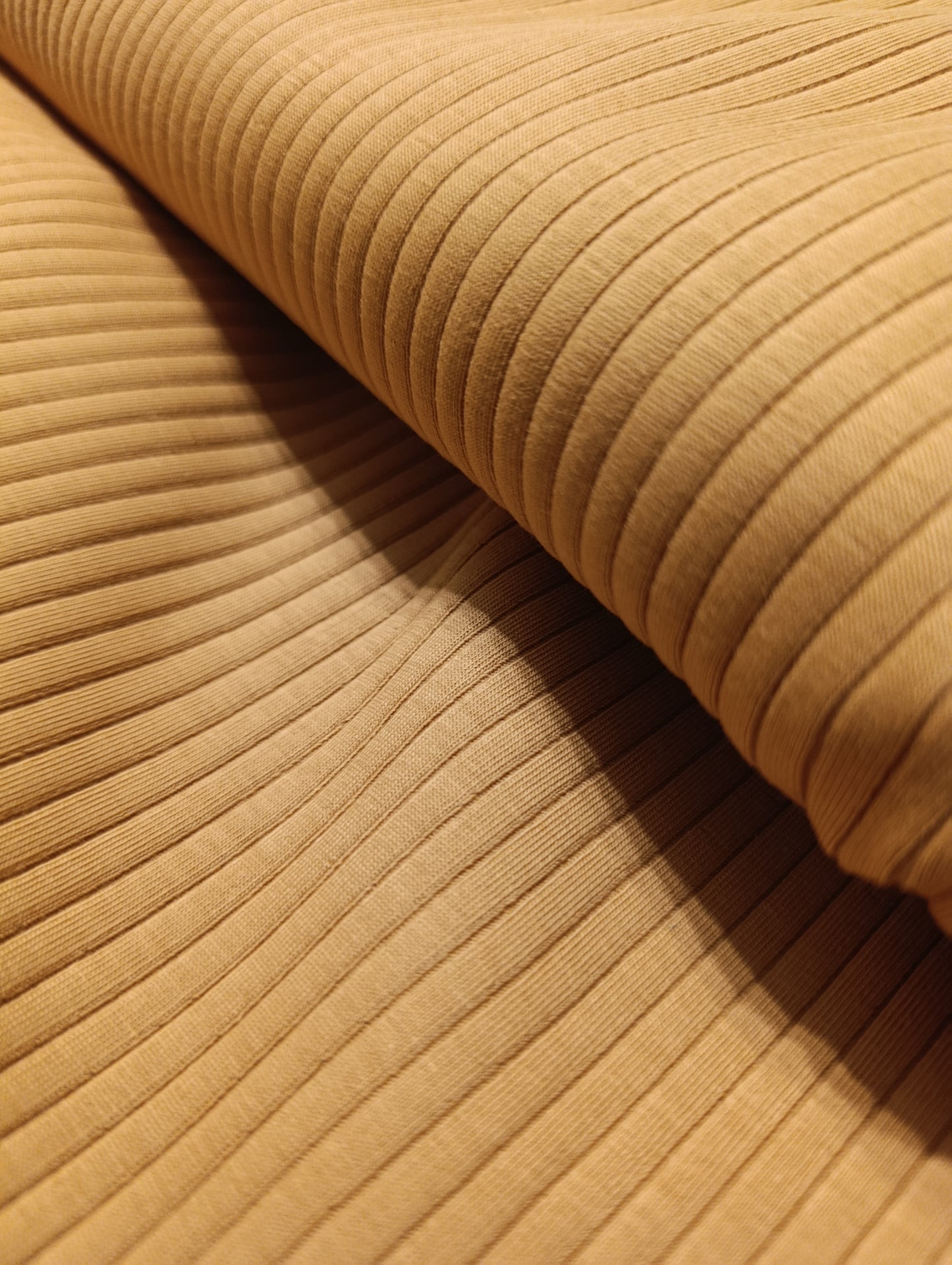 Breitrib Jersey Wüstensand Family fabrics