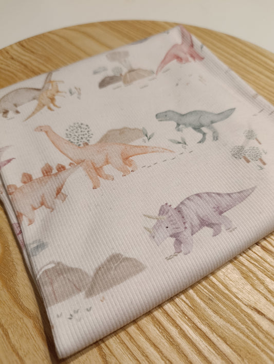 Reststück Rib Dino 55cm