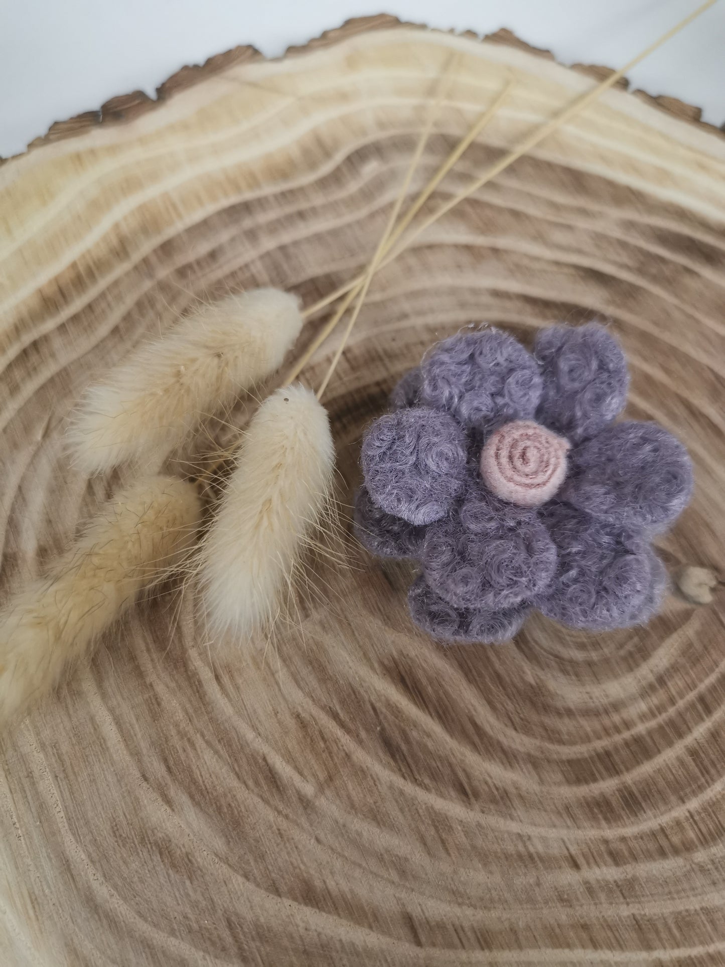 Wollblume Violett/Rosa